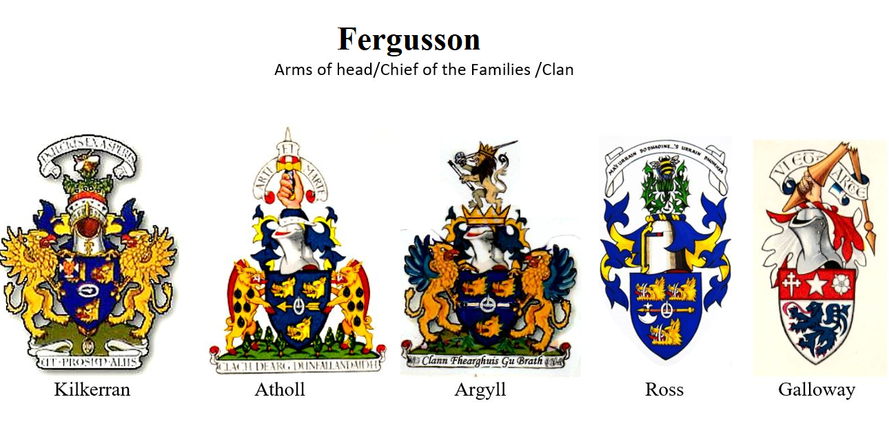 Arms Of The Ferguson Chiefs in their Districts