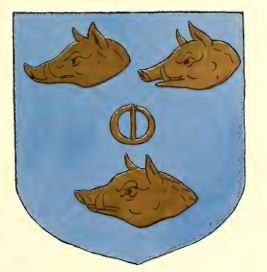 Ancient Arms of Dalraida connected Fergussons